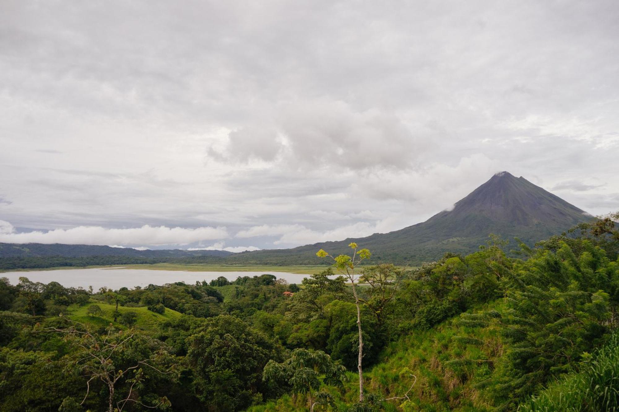 Pura Vista Glamping Hotell El Castillo Eksteriør bilde