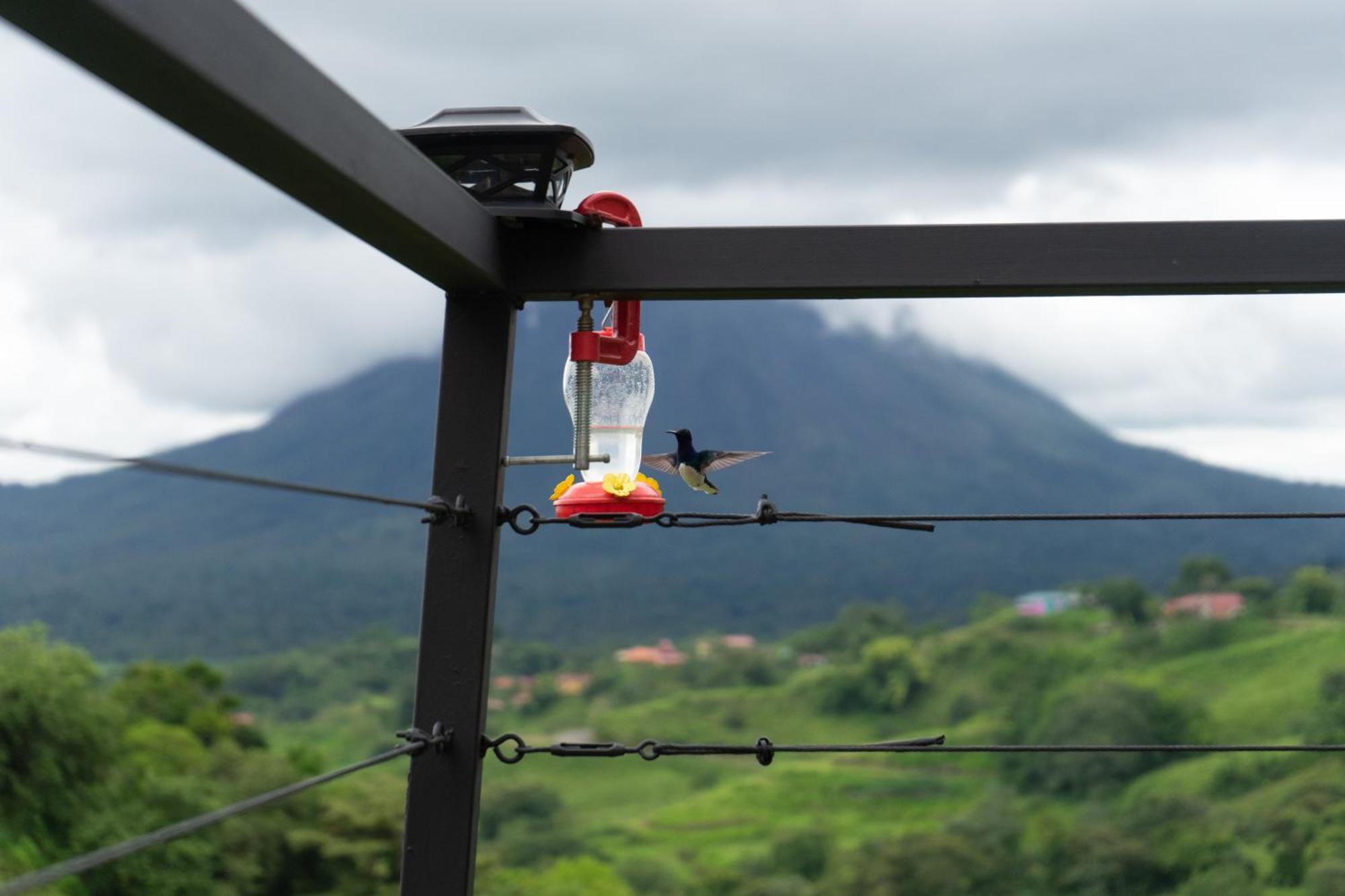 Pura Vista Glamping Hotell El Castillo Eksteriør bilde
